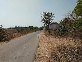  Agricultural Land for Sale in Hadagalli, Bellary
