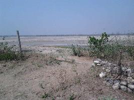  Agricultural Land for Sale in Shyampur, Haridwar