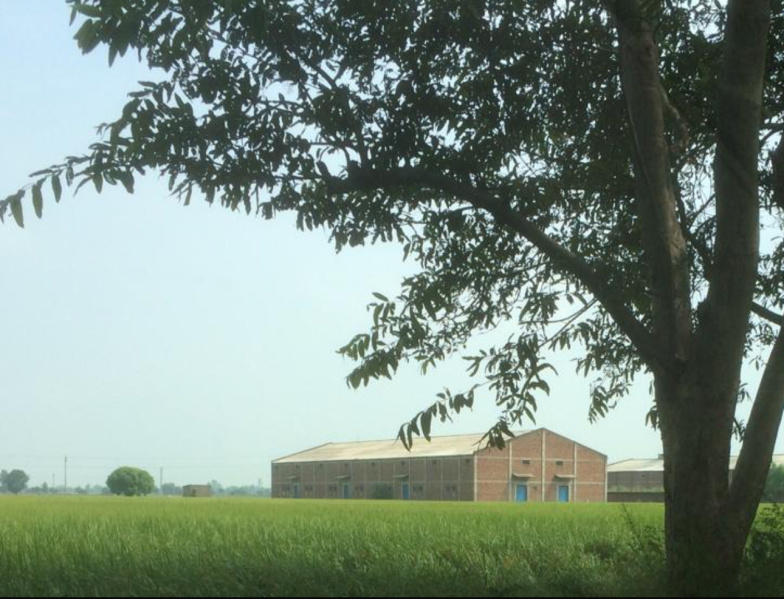  Warehouse 15840 Sq.ft. for Rent in Sirhind Road, Patiala