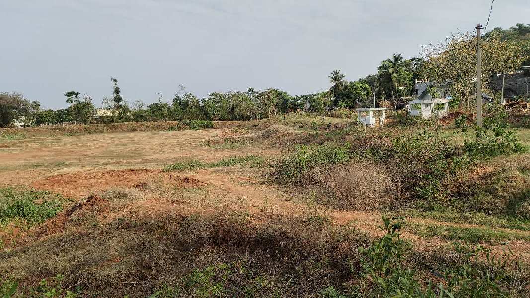  Agricultural Land 3 Acre for Rent in Veeraghattam, Srikakulam