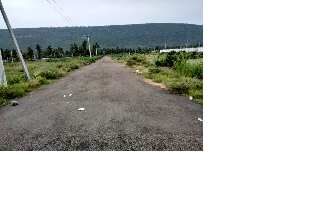  Residential Plot for Sale in Achutapuram, Visakhapatnam