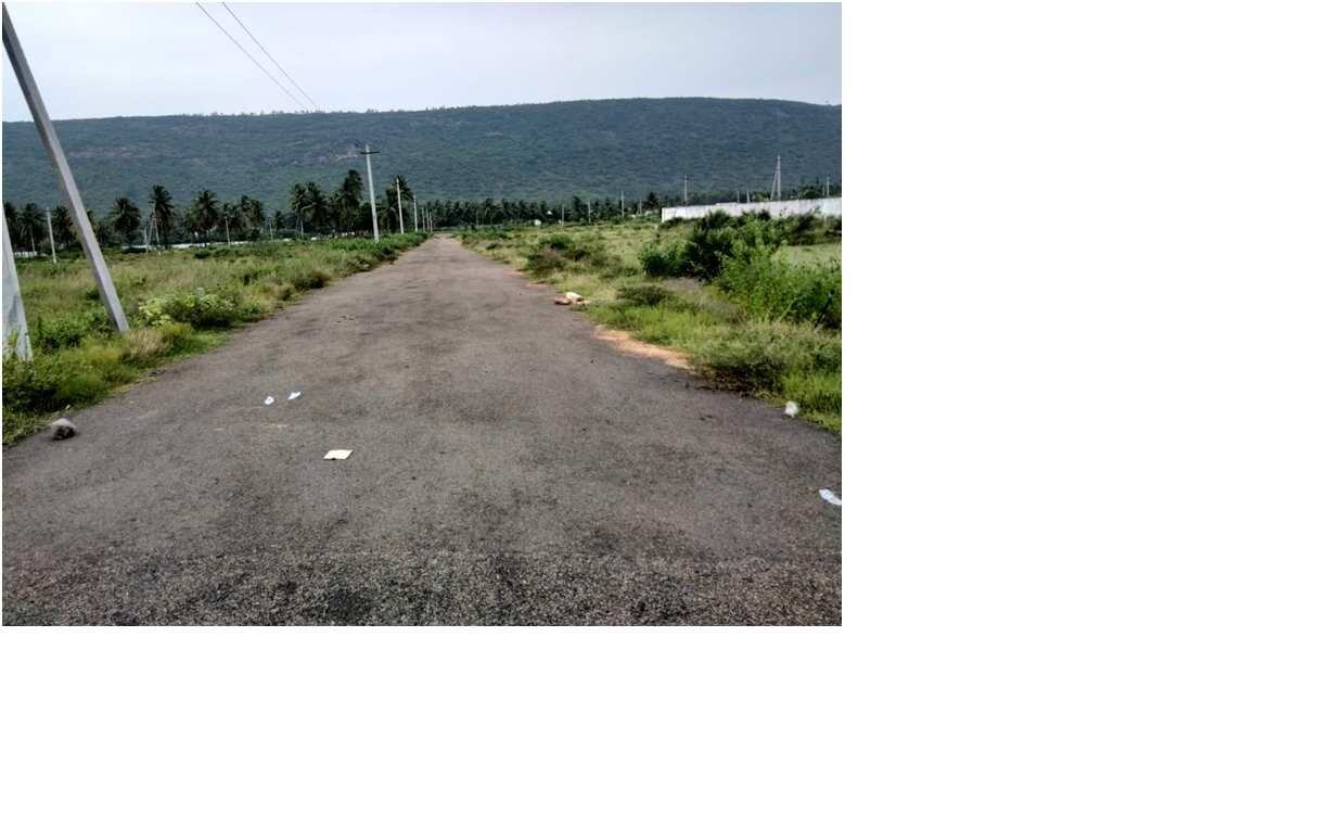  Residential Plot 268 Sq. Yards for Sale in Achutapuram, Visakhapatnam