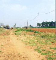  Agricultural Land for Sale in Mulug, Medak