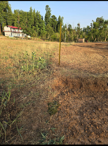  Commercial Land 1200 Sq. Yards for Sale in Narendra Nagar, Rishikesh