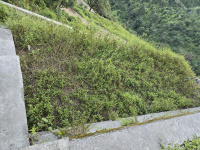  Agricultural Land for Sale in Thano, Dehradun