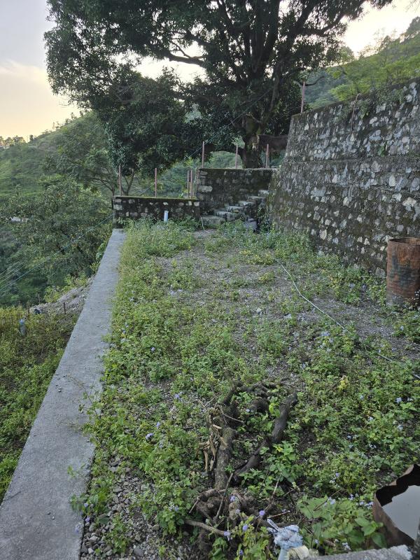  3 Bigha Agricultural/Farm Land for Sale in Thano, Dehradun