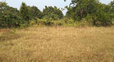  Agricultural Land for Sale in Chhatabar, Bhubaneswar