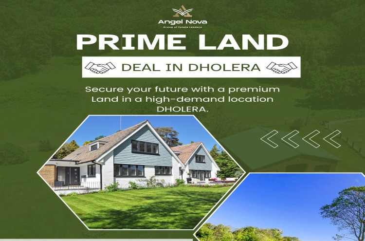  7138 Sq.ft. Residential Plot for Sale in Dholera, Ahmedabad