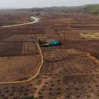  Residential Plot for Sale in Sarde, Raigad