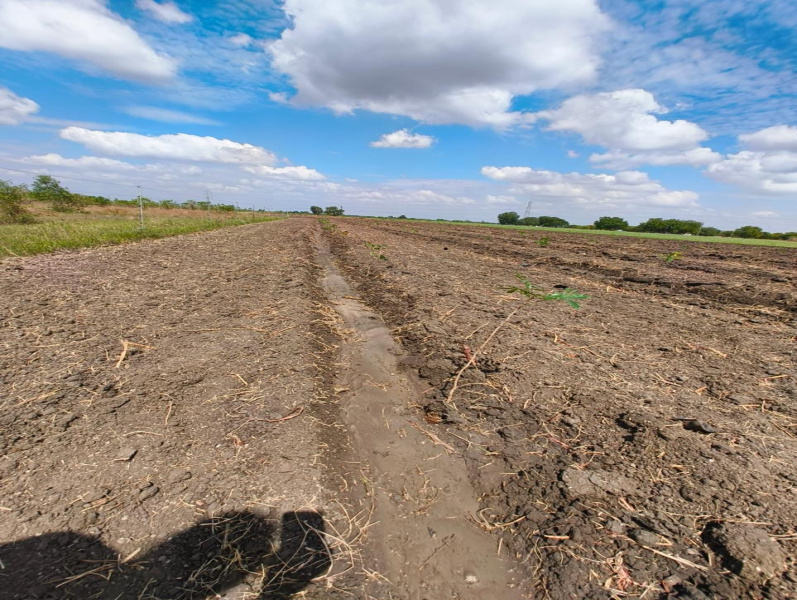  Agricultural Land 4 Acre for Sale in Kariapatti, Virudhunagar