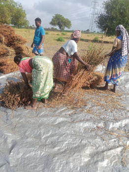  Agricultural Land for Sale in Kariapatti, Virudhunagar