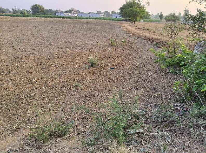 Agricultural Land 19 Guntha for Sale in Doultabad, Medak