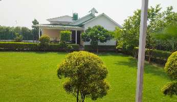 1 RK Farm House for Sale in Sector 135 Noida