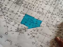  Commercial Land for Sale in Nalhar, Nuh