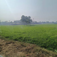  Agricultural Land for Sale in Teekli Village, Sohna, Gurgaon