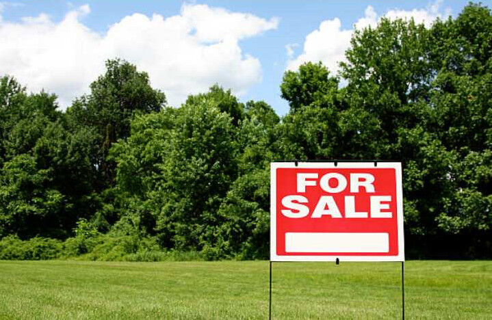  Residential Plot 123 Bigha for Sale in Raiwala, Dehradun