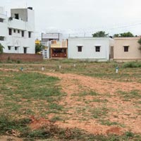  Residential Plot for Sale in Allinagaram, Theni