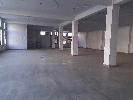  Factory for Rent in Pace City II, Sector 37 Gurgaon