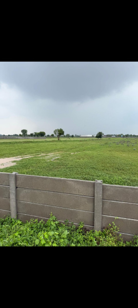 2 BHK Farm House 3025 Sq. Yards for Sale in Tijara Road, Alwar