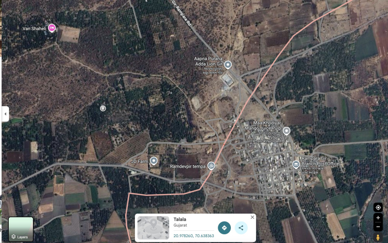  7 Bigha Agricultural/Farm Land for Sale in Talala, Gir Somnath