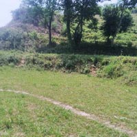  Residential Plot for Sale in Nerchowk, Mandi