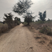  Agricultural Land for Sale in Bhinmal, Jalor