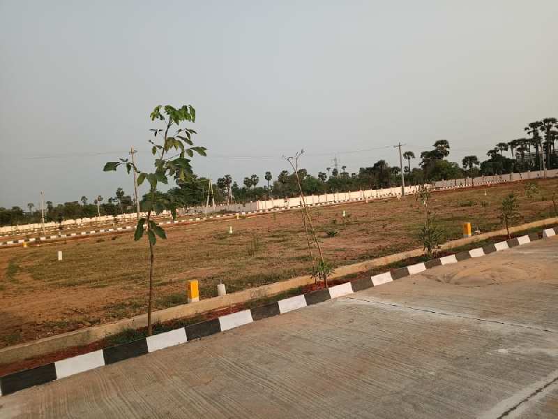 Residential Plot 150 Sq. Yards for Sale in Sarpavaram, Kakinada