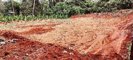  Agricultural Land for Sale in Kozhencherry, Pathanamthitta