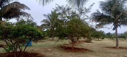  Agricultural Land for Sale in Udigala, Chamrajnagar