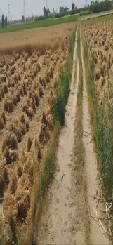  Agricultural Land for Sale in Muradnagar, Ghaziabad