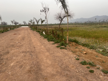  Agricultural Land for Sale in Behror Village, Alwar