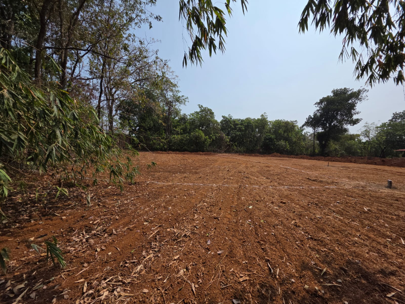  4 Guntha Residential Plot for Sale in Kudal, Sindhudurg