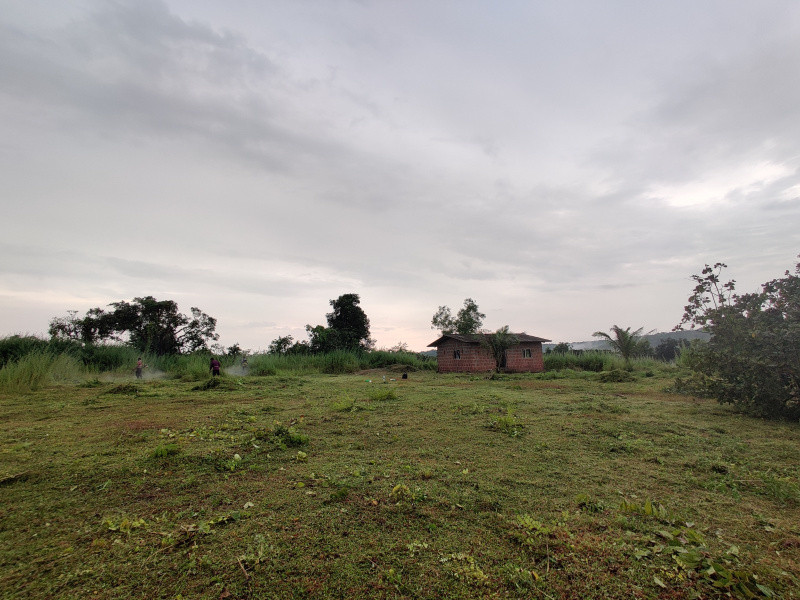  50700 Sq. Meter Residential Plot for Sale in Sawantwadi, Sindhudurg