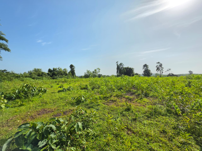  50700 Sq. Meter Residential Plot for Sale in Sawantwadi, Sindhudurg