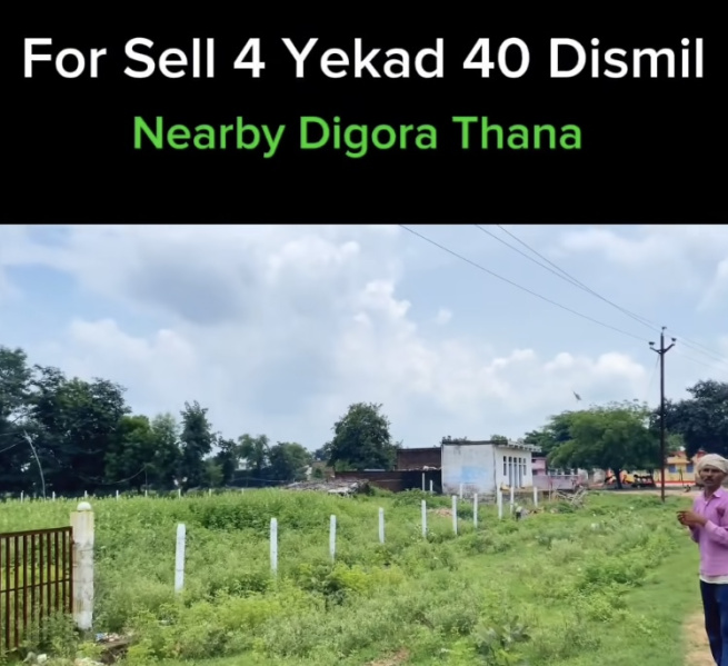  Agricultural Land 4 Acre for Sale in Taricharkalan, Tikamgarh