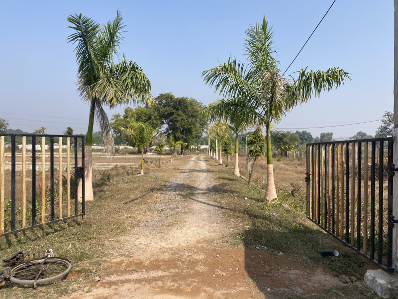  Residential Plot 1000 Sq.ft. for Sale in New Indira Colony, Tikamgarh