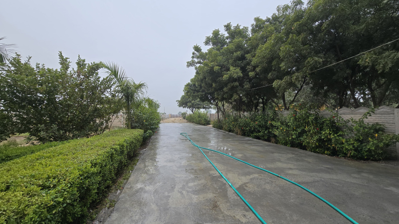 Tappal, Aligarh photo 5