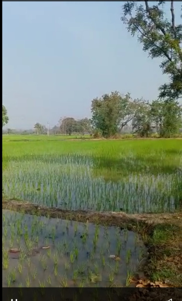 Agricultural Land 3 Acre for Sale in Narsapur, Medak