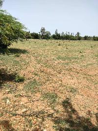  Agricultural Land for Sale in Kadapa, Cuddapah