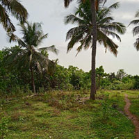  Agricultural Land for Sale in Karkala, Udupi