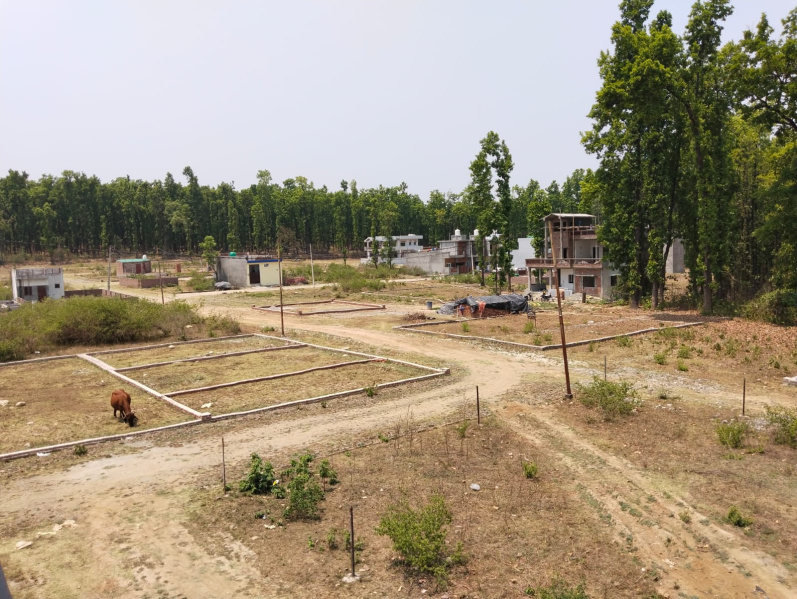  Residential Plot 100 Sq. Yards for Sale in Raipur, Dehradun