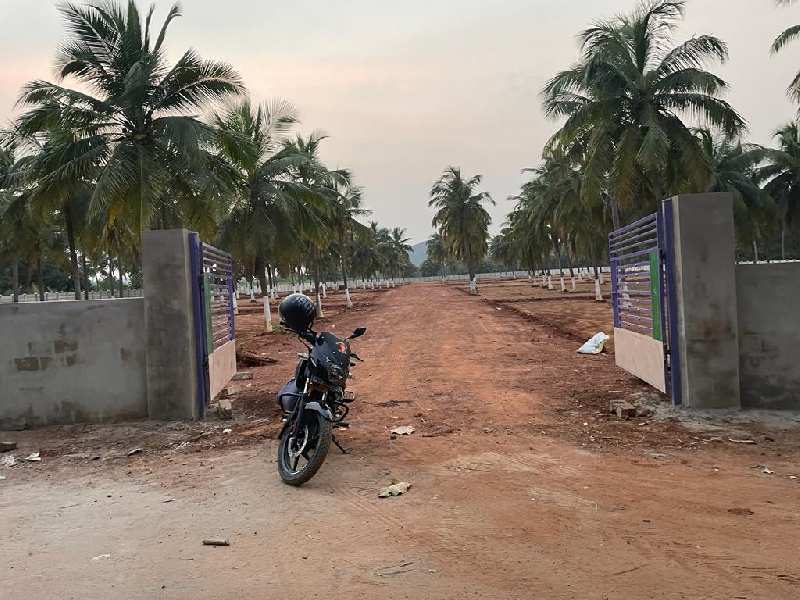  Residential Plot 200 Sq. Yards for Sale in Bhogapuram, Visakhapatnam