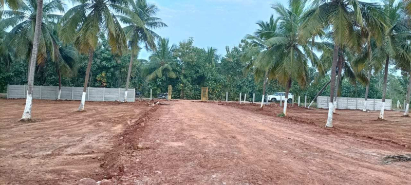  Residential Plot 200 Sq. Yards for Sale in Bhogapuram, Visakhapatnam