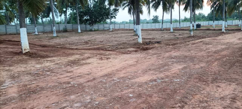  Residential Plot 200 Sq. Yards for Sale in Bhogapuram, Visakhapatnam