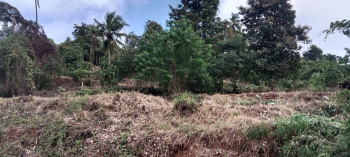  Residential Plot for Sale in Panjim, Goa