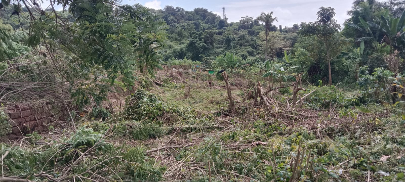  30000 Sq. Meter Residential Plot for Sale in Panjim, Goa