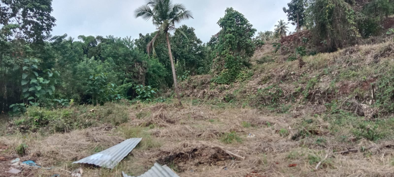  30000 Sq. Meter Residential Plot for Sale in Panjim, Goa