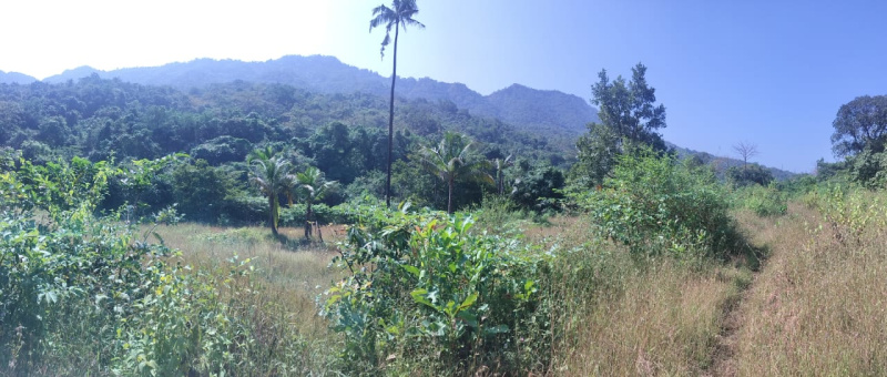 1 RK 500 Ares Farm House for Sale in Ponda, South Goa