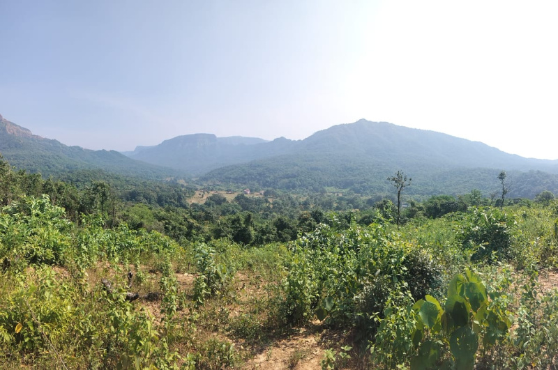 1 RK 500 Ares Farm House for Sale in Ponda, South Goa