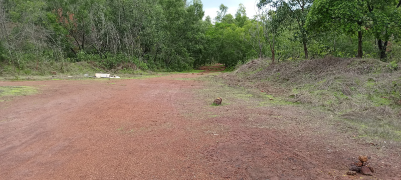  7000 Sq. Meter Residential Plot for Sale in Mopa, Goa